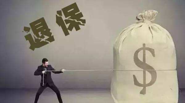買(mǎi)的保險不想續保了能退嗎？