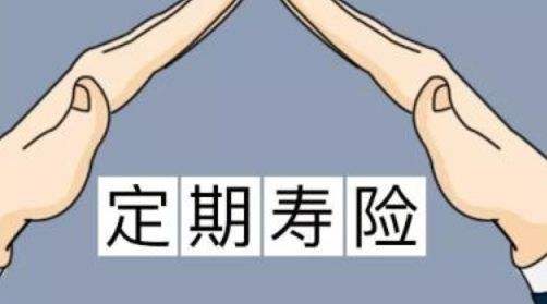 定期壽險適合什么人？