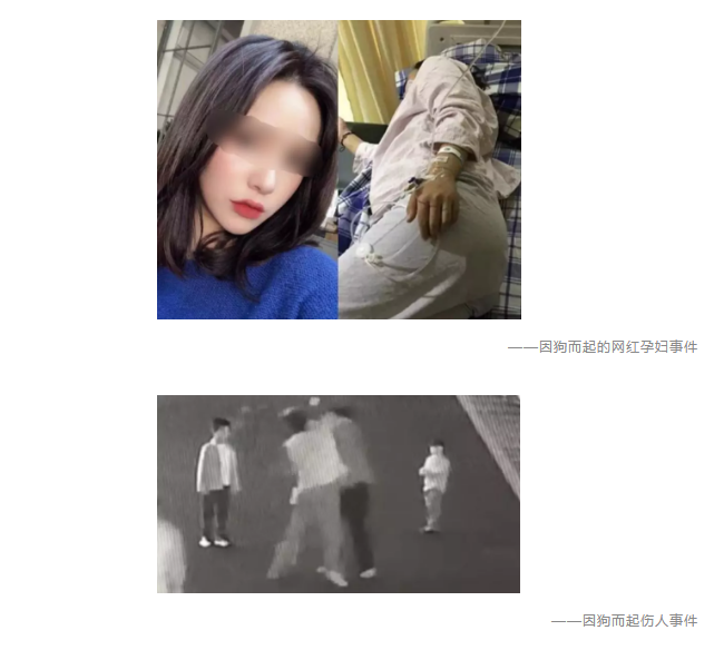 為什么不買(mǎi)保險就不讓養狗？