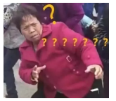 為什么不買(mǎi)保險就不讓養狗？