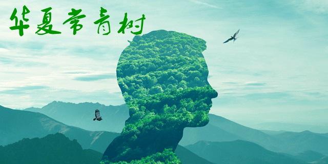華夏常青樹(shù)多倍版2.0包括哪些??？